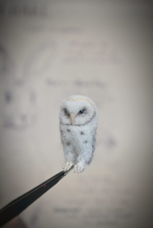 Miniature Needle Felted White Owl – 2.5 cm Handmade Wool Bird - Image 6