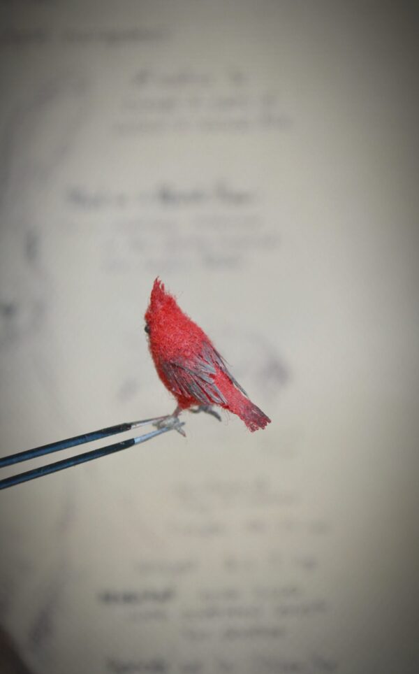 tiny cardinal bird- needle felting by hromovfelts