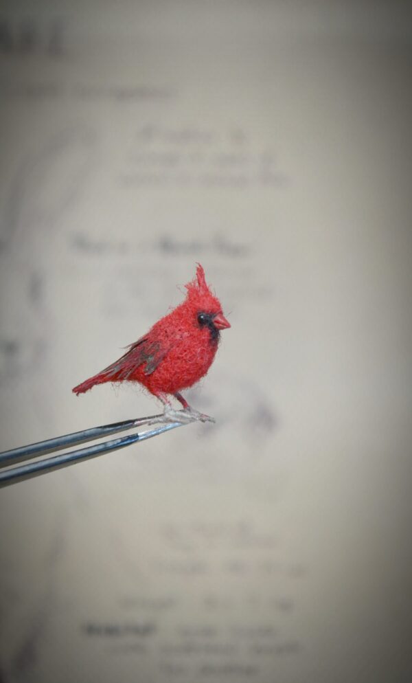 tiny cardinal bird- needle felting by hromovfelts