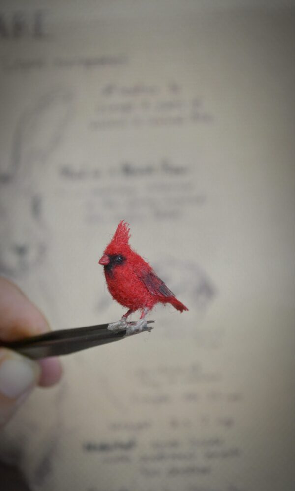 tiny cardinal bird- needle felting by hromovfelts