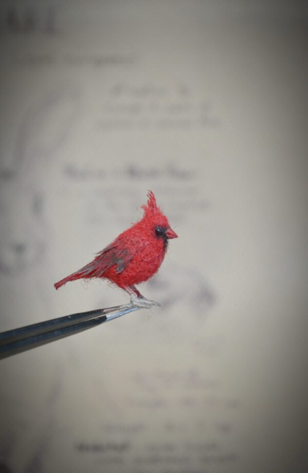 tiny cardinal bird- needle felting by hromovfelts
