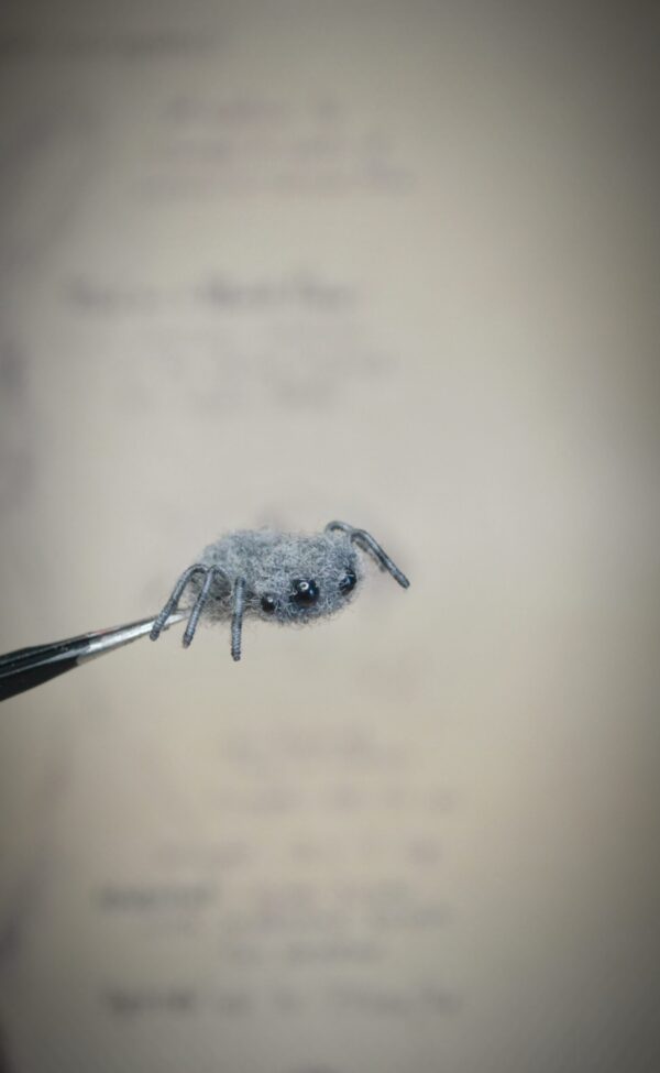Spider Needle Felted miniature – 2 cm Poseable Handmade Wool Insect - Image 3
