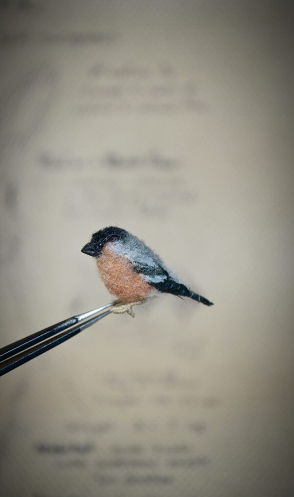 Bullfinch Bird Needle Felted Miniature - Image 3