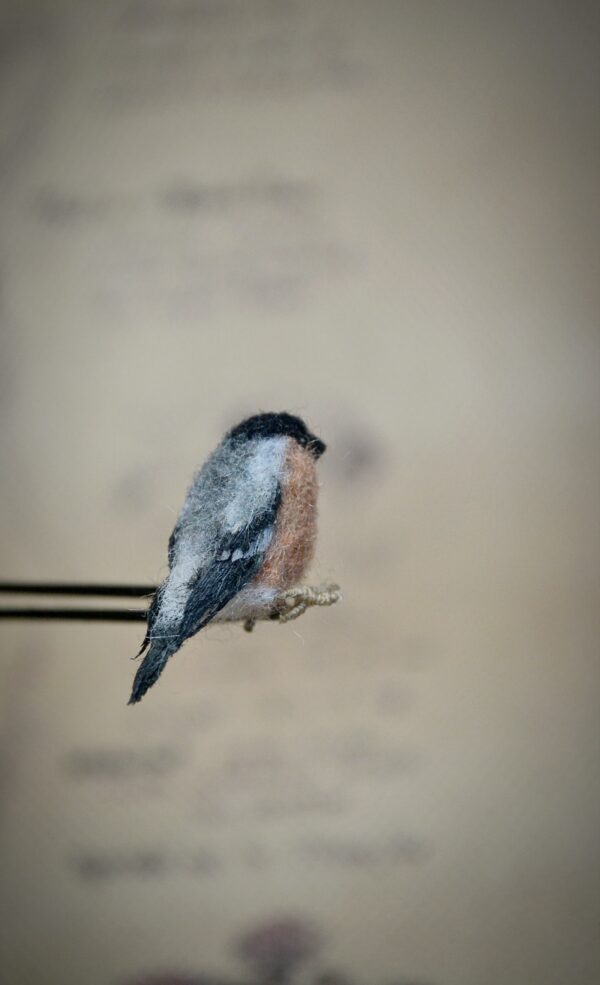 Bullfinch Bird Needle Felted Miniature - Image 5