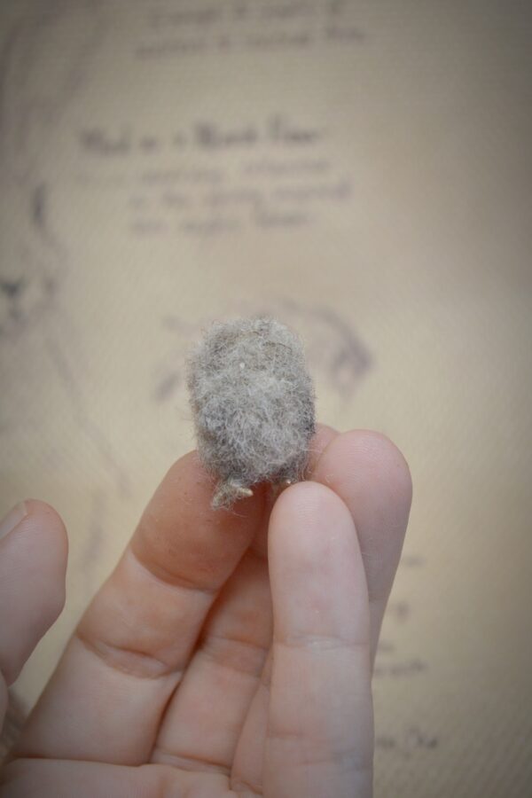 Tiny Owlet Needle Felted Miniature - Image 2