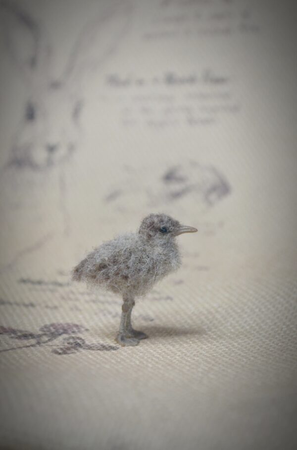 Seagull Chick Needle Felted Miniature - Image 2
