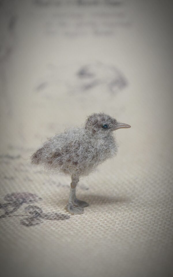 Seagull Chick Needle Felted Miniature - Image 3