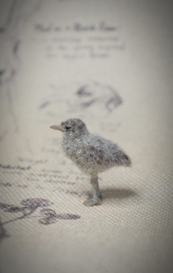 Seagull Chick Needle Felted Miniature - Image 4