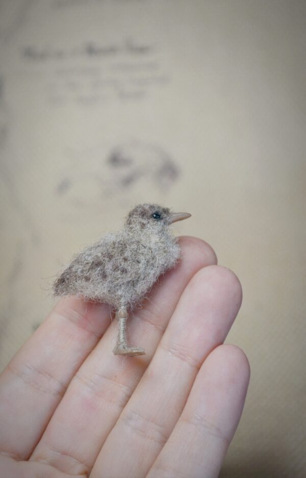 Seagull Chick Needle Felted Miniature - Image 8