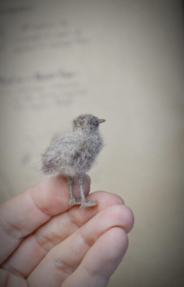 This 3 cm wool seagull chick is soft, speckled, and full of charm. Handmade in tiny scale — perfect for collectors, coastal scenes, or bird lovers.