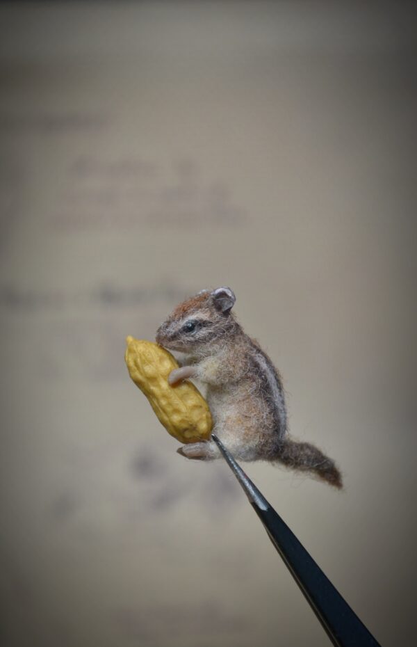 This tiny 2 cm needle felted chipmunk holds a removable peanut! A sweet forest creature made from wool, perfect for miniature scenes or handmade gift giving