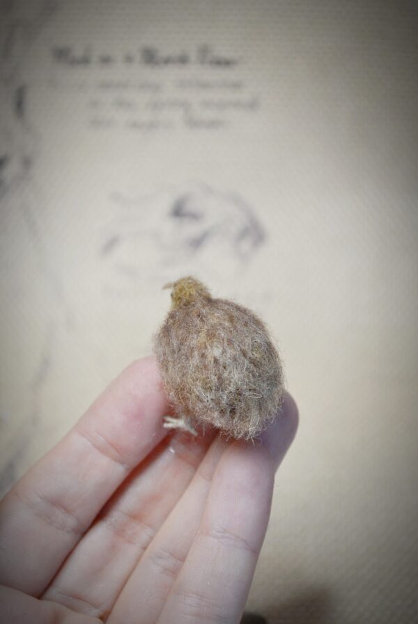 Kiwi Bird Needle Felted Miniature - Image 3