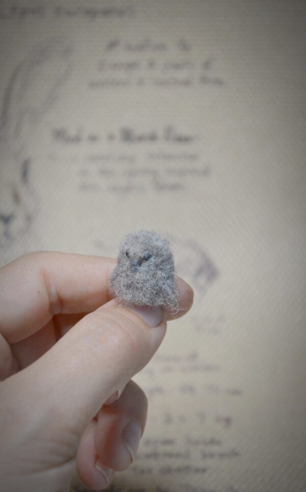 Owl Chick Needle Felted Miniature - Image 4