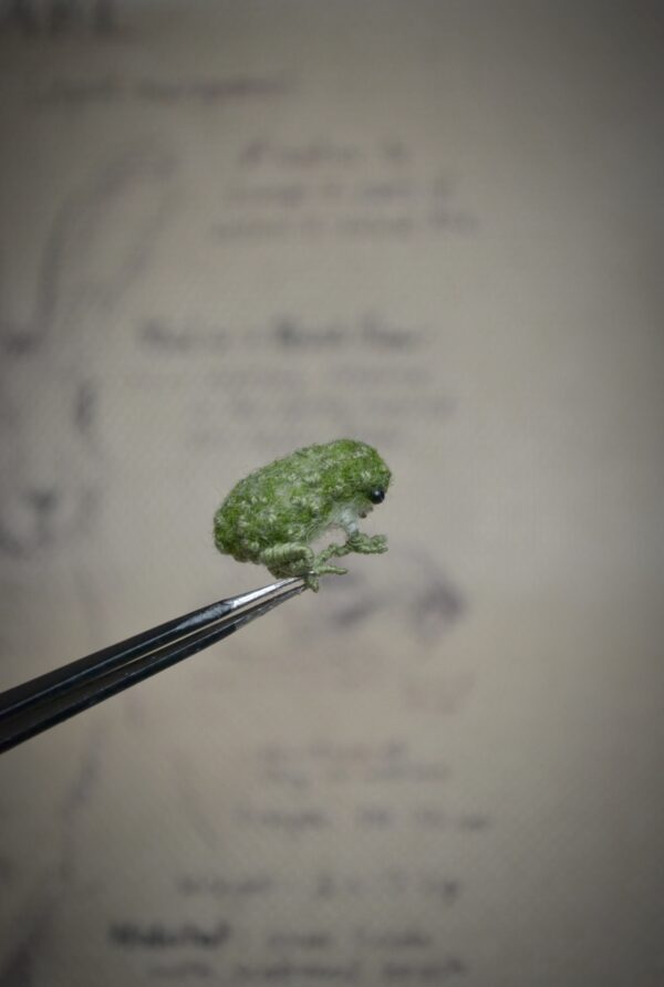 Needle felted frog with embroidered details and poseable legs. Handmade wool miniature, perfect for collectors, dollhouses, and unique gifts.
