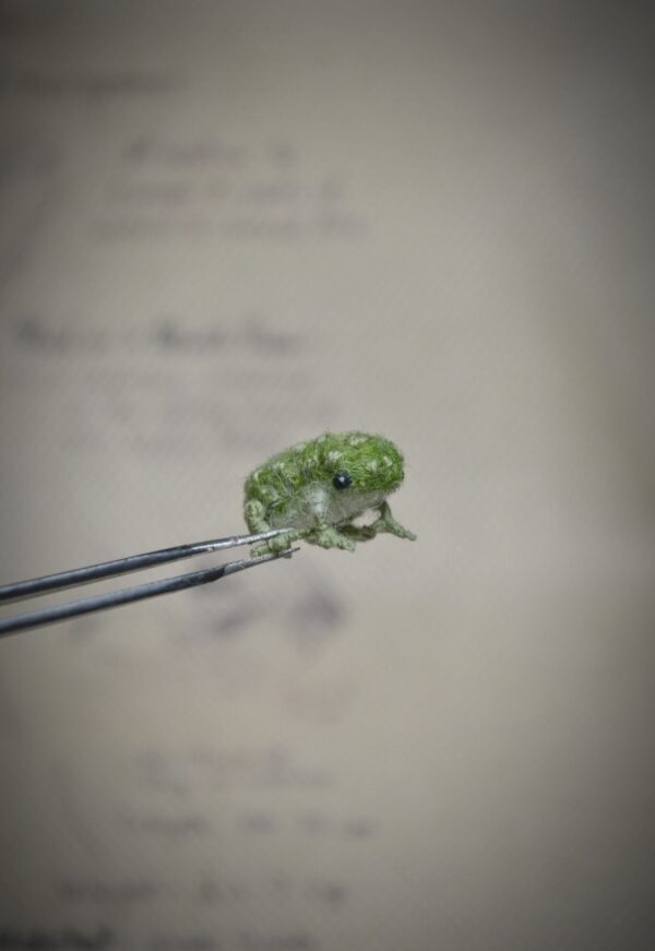 Frog Needle Felted Miniature – Embroidered Wool Figurine - Image 3