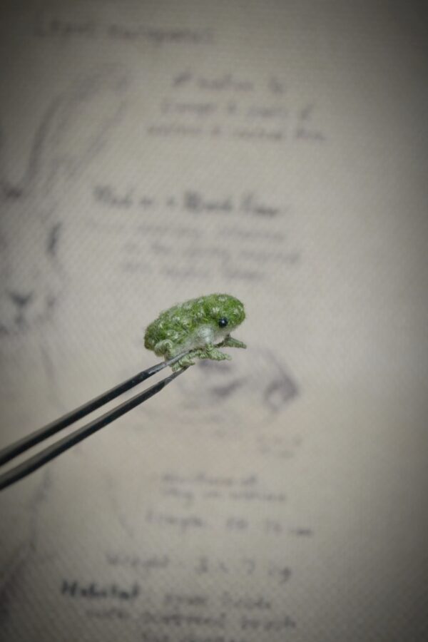 Frog Needle Felted Miniature – Embroidered Wool Figurine - Image 4