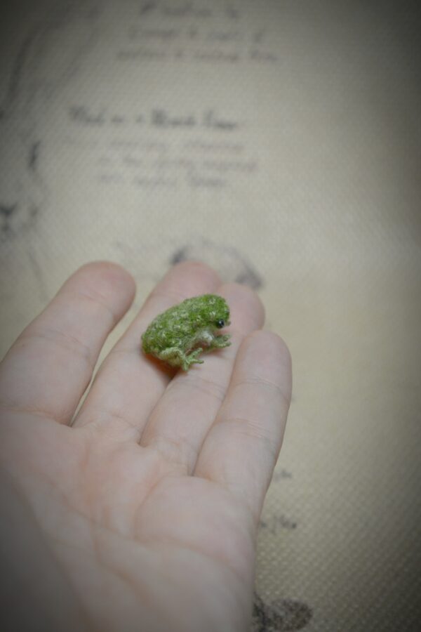 Frog Needle Felted Miniature – Embroidered Wool Figurine - Image 8