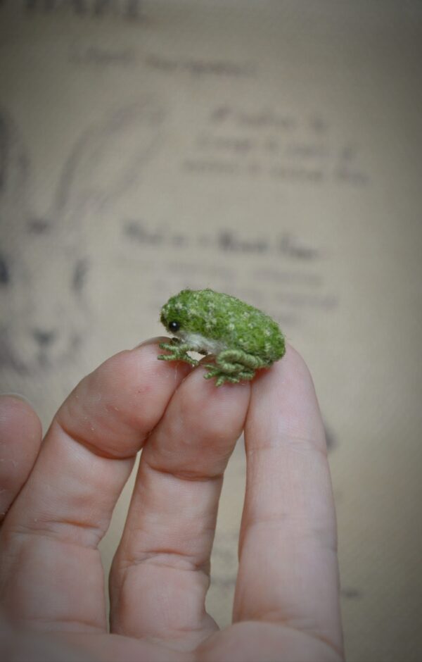 Frog Needle Felted Miniature – Embroidered Wool Figurine - Image 10