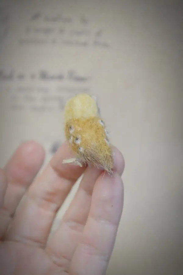 Owl Needle Felted Miniature – Head Tilted – Handmade Wool Figurine - Image 7