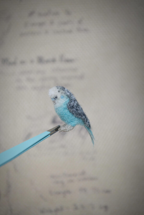 Budgie Parakeet Needle Felted Miniature – Blue Handmade Wool Bird - Image 2