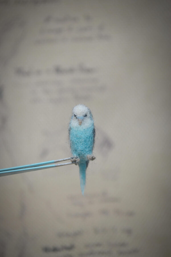 Budgie Parakeet Needle Felted Miniature – Blue Handmade Wool Bird - Image 4