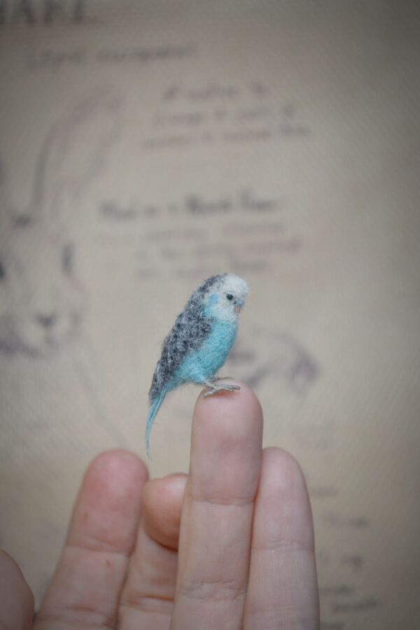 Handmade needle felted blue budgie parakeet miniature, 3 cm tall. A charming wool bird collectible for dollhouses, dioramas, or parrot enthusiasts.
