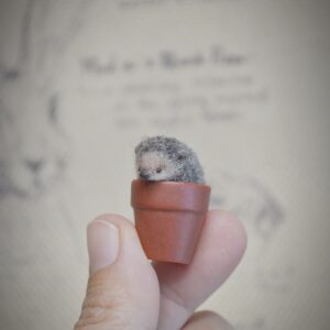 Adorable needle felted hedgehog curled up in a flower pot. Handmade wool miniature, perfect for collectors, dollhouses, and woodland lovers.