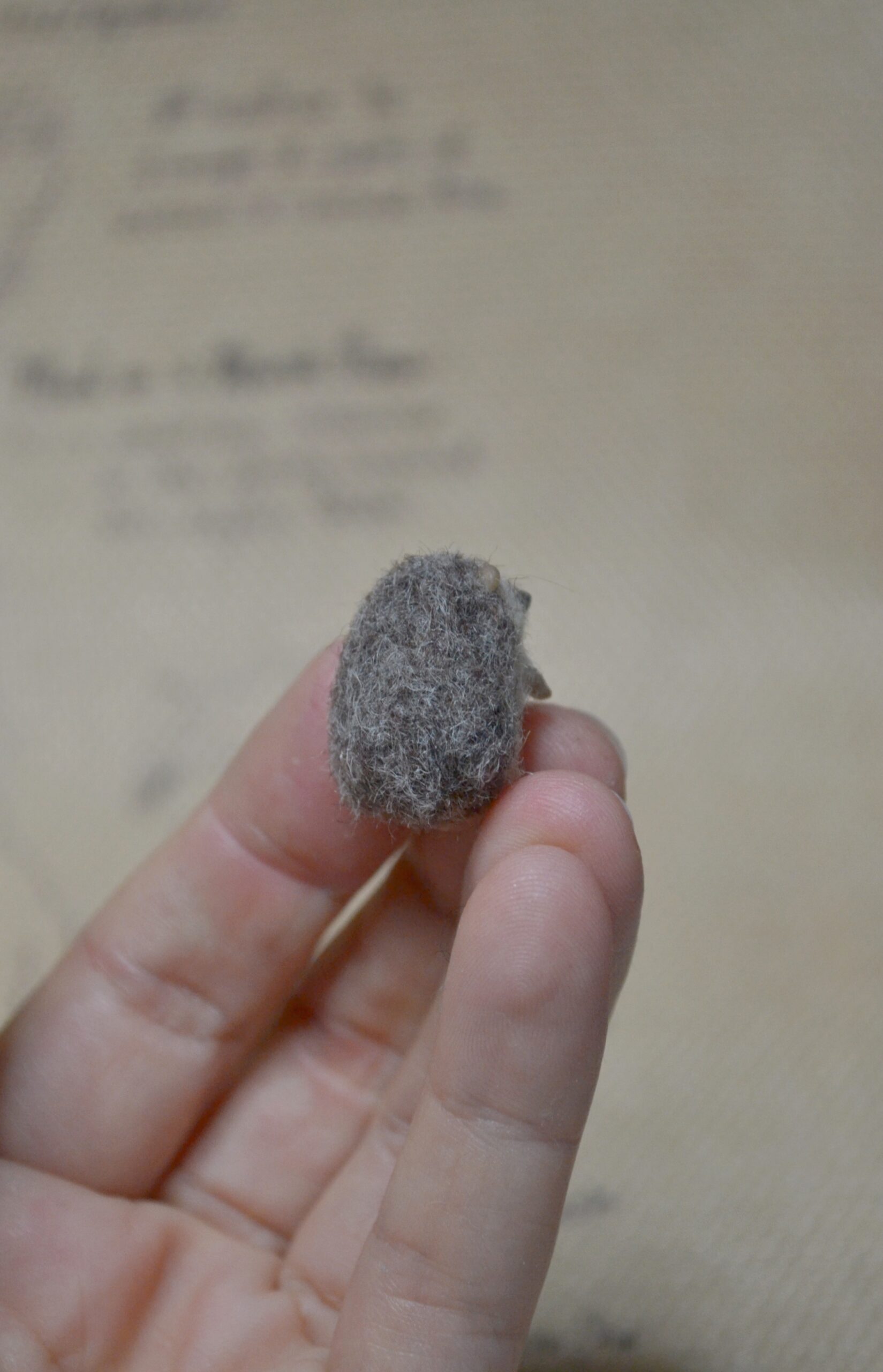 Needle Felted Tiny Hedgehog – Handmade Wool Miniature - Image 6