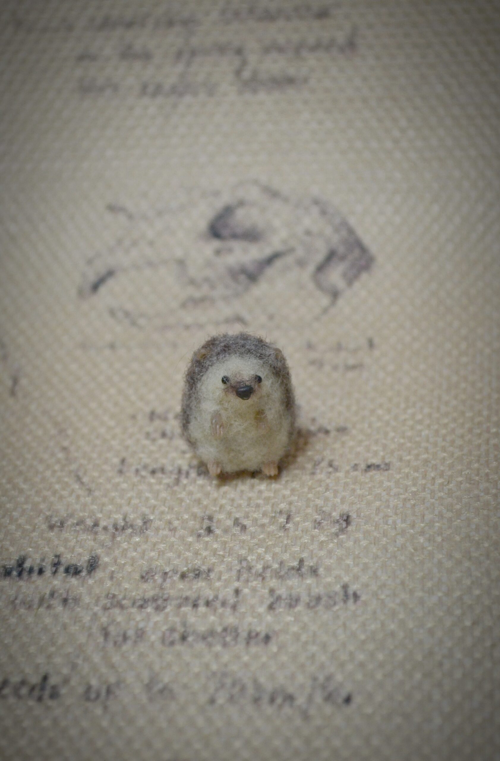 Needle Felted Tiny Hedgehog – Handmade Wool Miniature - Image 10