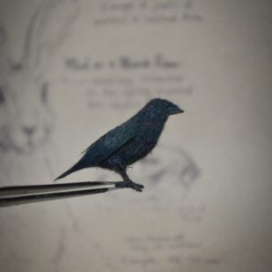raven needle felted miniature