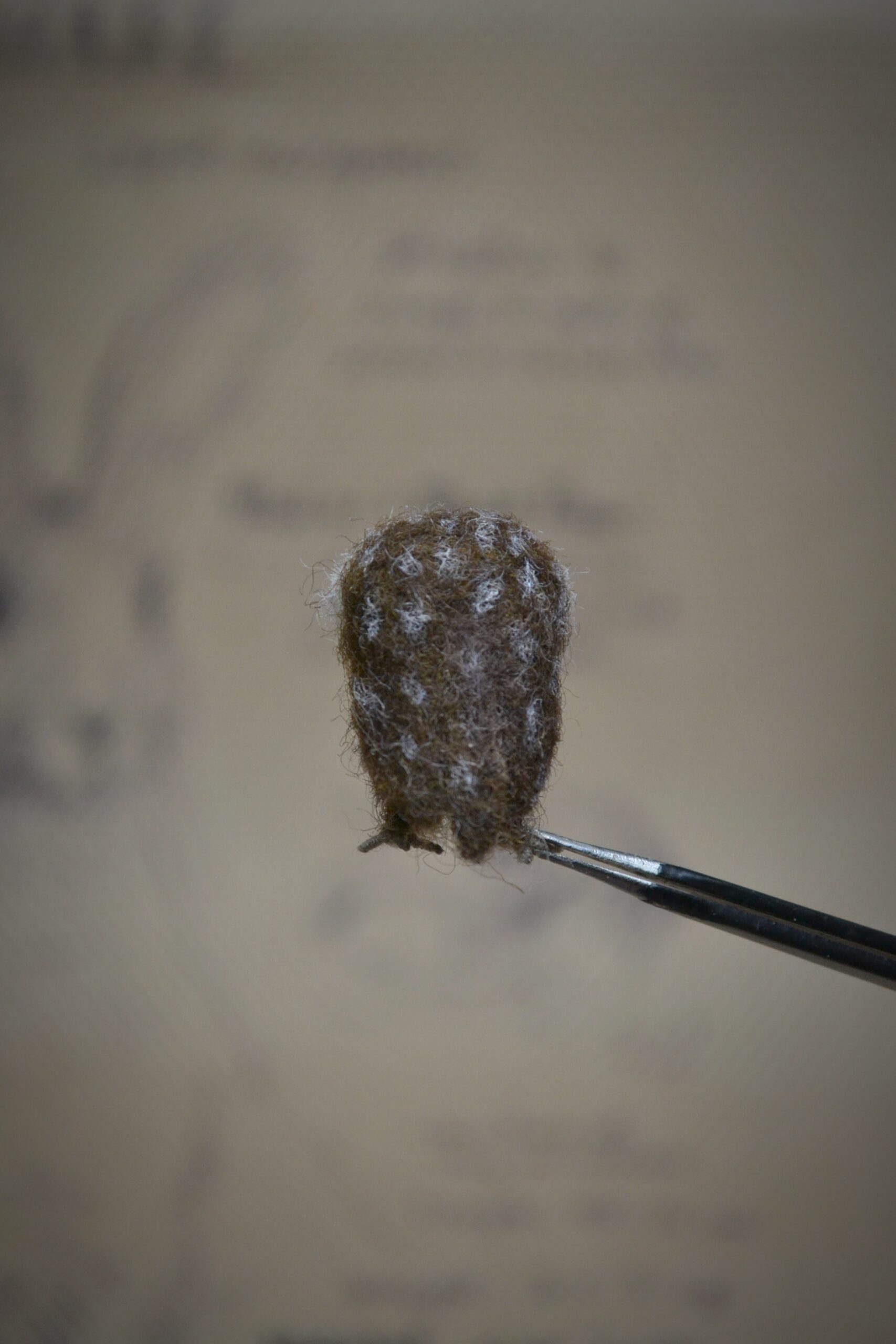 Owlet Needle Felted Miniature - Image 4