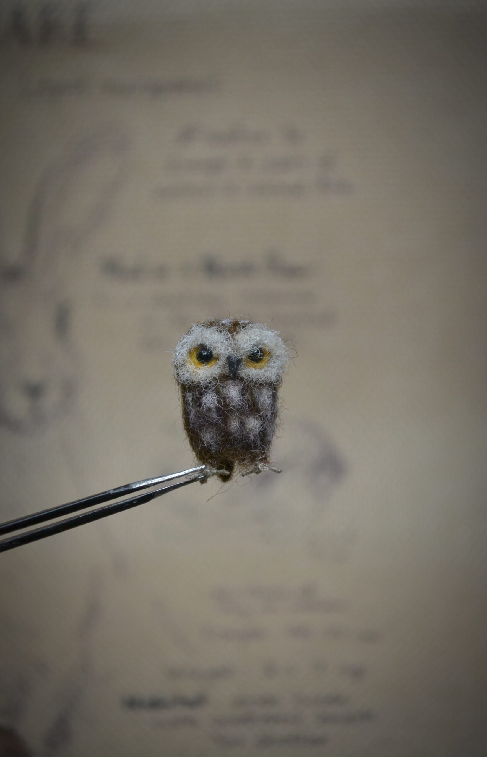 Owlet Needle Felted Miniature - Image 6