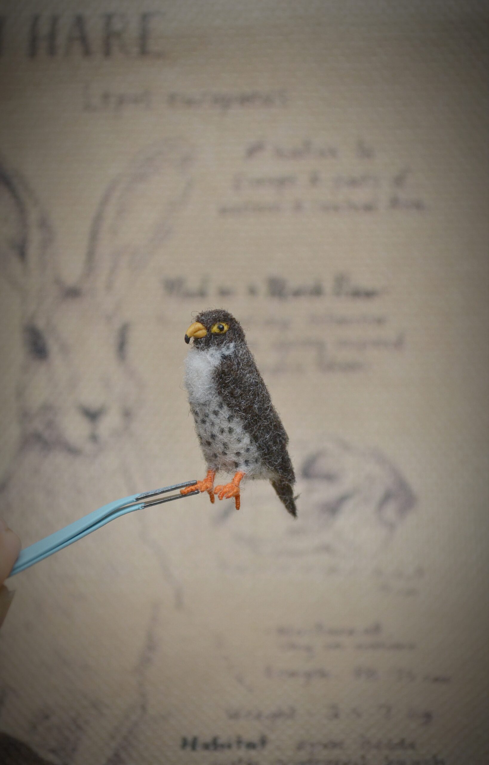 Needle Felted Falcon Miniature – Handmade Wool Bird Figurine - Image 4