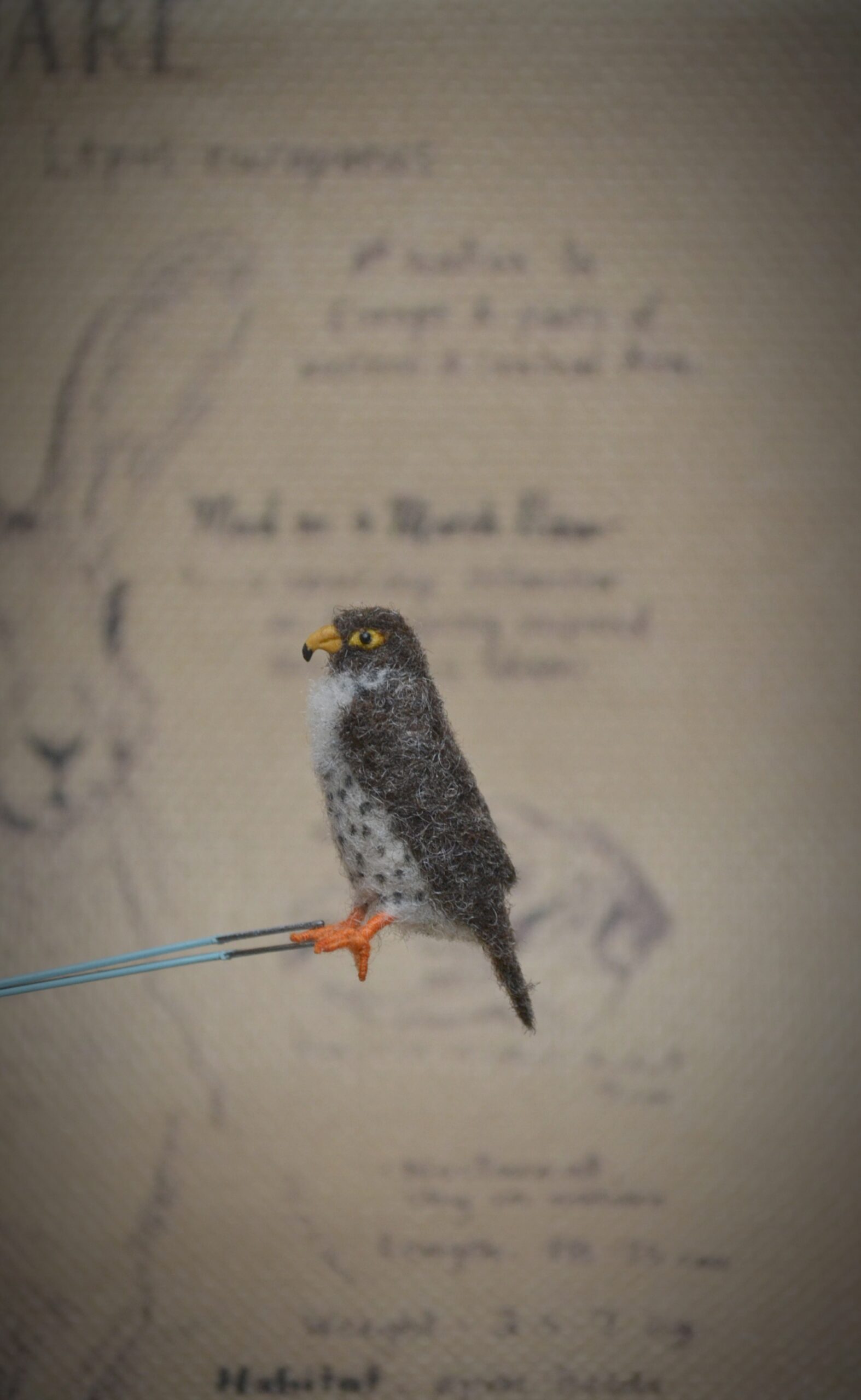 Needle Felted Falcon Miniature – Handmade Wool Bird Figurine - Image 5